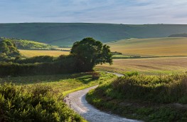 Isuzu best driving routes in UK, 2025, South Downs Way
